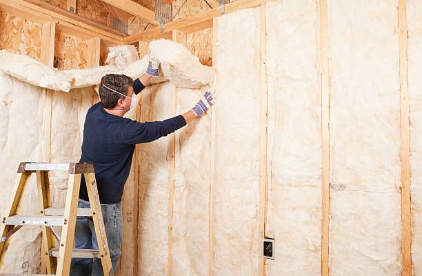 Best Insulation for Existing Homes  in Mount Ora, OH